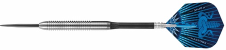 Darts Steeltip ASSASSIN W80 3x21gR 2